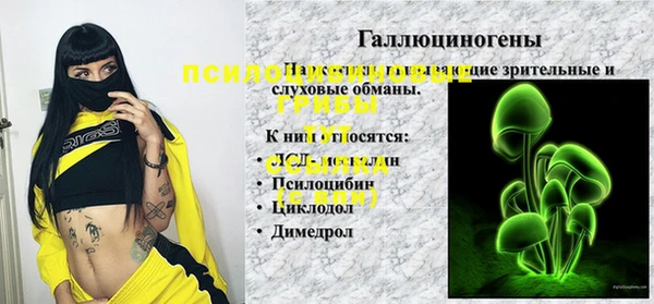 стаф Магадан